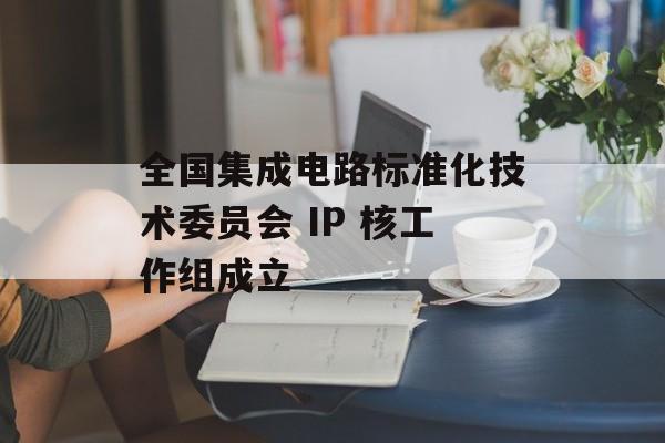 全国集成电路标准化技术委员会 IP 核工作组成立-第1张图片-佛山资讯网