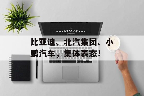 比亚迪、北汽集团、小鹏汽车，集体表态！-第1张图片-佛山资讯网