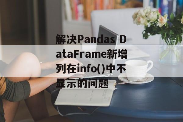 解决Pandas DataFrame新增列在info()中不显示的问题-第2张图片-佛山资讯网
