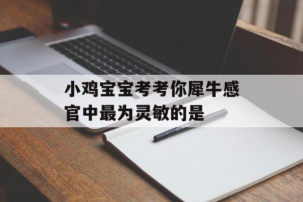 小鸡宝宝考考你犀牛感官中最为灵敏的是-第1张图片-佛山资讯网