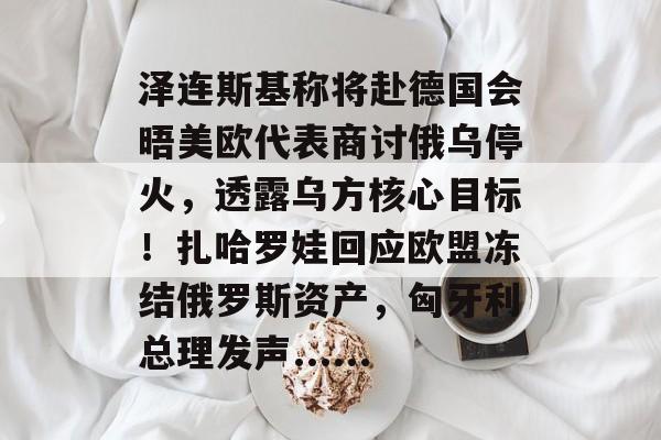 泽连斯基称将赴德国会晤美欧代表商讨俄乌停火，透露乌方核心目标！扎哈罗娃回应欧盟冻结俄罗斯资产，匈牙利总理发声......-第1张图片-佛山资讯网