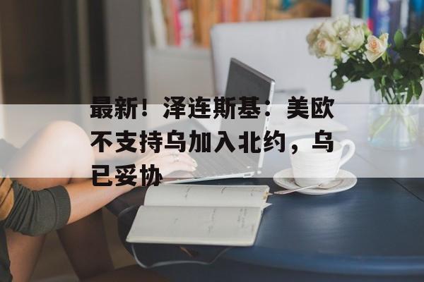 最新!泽连斯基:美欧不支持乌加入北约,乌已妥协-第1张图片-佛山资讯网 最新!泽连斯基:美欧不支持乌加入北约,乌已妥协-第1张图片-佛山资讯网