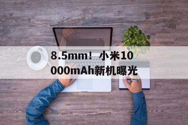 8.5mm！小米10000mAh新机曝光-第1张图片-佛山资讯网