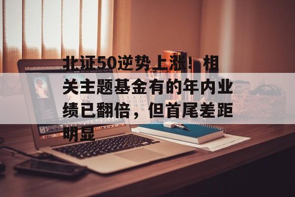 北证50逆势上涨！相关主题基金有的年内业绩已翻倍，但首尾差距明显-第1张图片-佛山资讯网