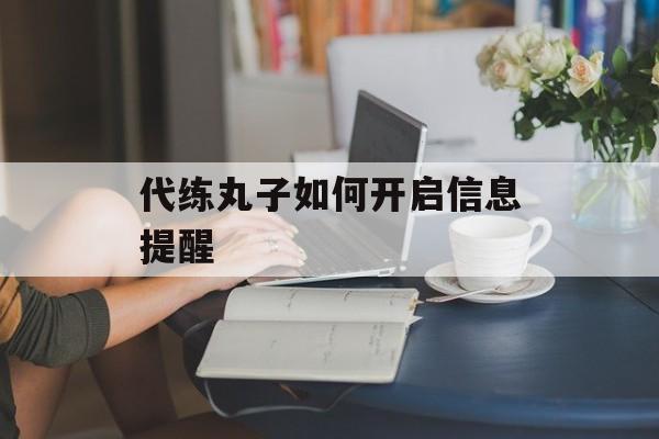 代练丸子如何开启信息提醒-第1张图片-佛山资讯网