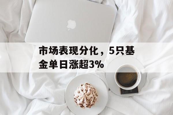 市场表现分化，5只基金单日涨超3%-第1张图片-佛山资讯网