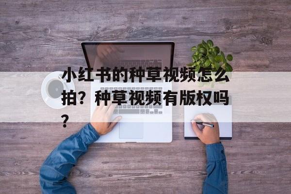 小红书的种草视频怎么拍?种草视频有版权吗?-第1张图片-佛山资讯网 小红书的种草视频怎么拍?种草视频有版权吗?-第1张图片-佛山资讯网