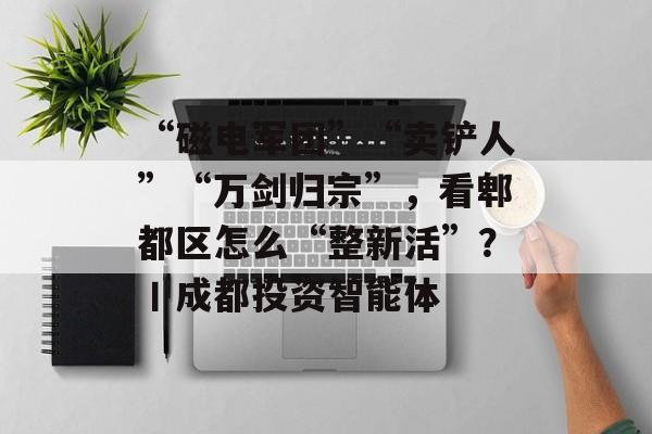 “磁电军团”“卖铲人”“万剑归宗”，看郫都区怎么“整新活”？丨成都投资智能体-第1张图片-佛山资讯网