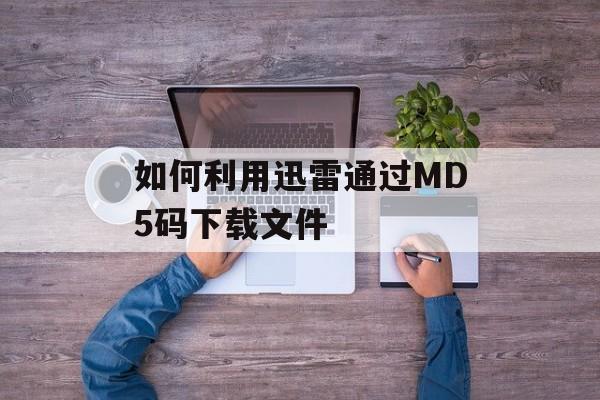 如何利用迅雷通过MD5码下载文件-第1张图片-佛山资讯网