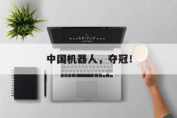 中国机器人，夺冠！-第1张图片-佛山资讯网