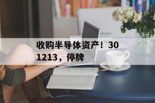收购半导体资产!301213,停牌-第1张图片-佛山资讯网 收购半导体资产!301213,停牌-第1张图片-佛山资讯网