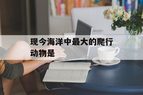 现今海洋中最大的爬行动物是-第1张图片-佛山资讯网