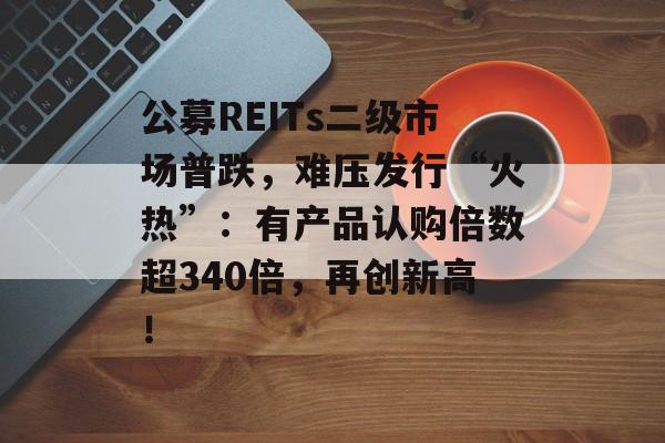 公募REITs二级市场普跌，难压发行“火热”：有产品认购倍数超340倍，再创新高！-第1张图片-佛山资讯网