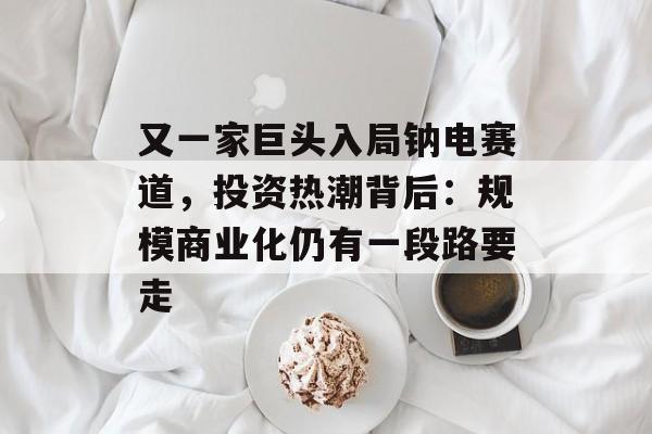 又一家巨头入局钠电赛道，投资热潮背后：规模商业化仍有一段路要走-第1张图片-佛山资讯网