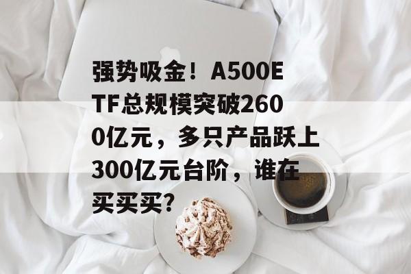 强势吸金！A500ETF总规模突破2600亿元，多只产品跃上300亿元台阶，谁在买买买？-第1张图片-佛山资讯网