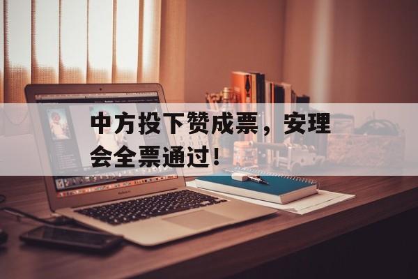 中方投下赞成票,安理会全票通过!-第1张图片-佛山资讯网 中方投下赞成票,安理会全票通过!-第1张图片-佛山资讯网
