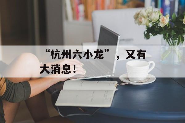 “杭州六小龙”，又有大消息！-第1张图片-佛山资讯网