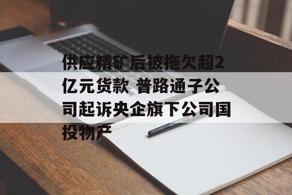 供应精矿后被拖欠超2亿元货款 普路通子公司起诉央企旗下公司国投物产-第1张图片-佛山资讯网