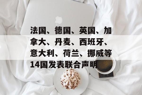 法国、德国、英国、加拿大、丹麦、西班牙、意大利、荷兰、挪威等14国发表联合声明-第1张图片-佛山资讯网 法国、德国、英国、加拿大、丹麦、西班牙、意大利、荷兰、挪威等14国发表联合声明-第1张图片-佛山资讯网
