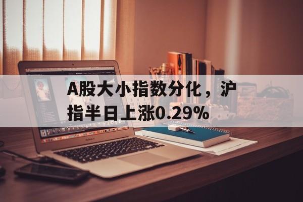 A股大小指数分化,沪指半日上涨0.29%-第1张图片-佛山资讯网 A股大小指数分化,沪指半日上涨0.29%-第1张图片-佛山资讯网