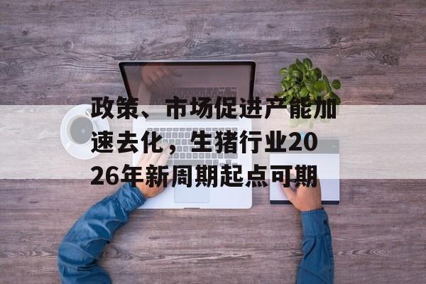 政策、市场促进产能加速去化,生猪行业2026年新周期起点可期-第1张图片-佛山资讯网 政策、市场促进产能加速去化,生猪行业2026年新周期起点可期-第1张图片-佛山资讯网