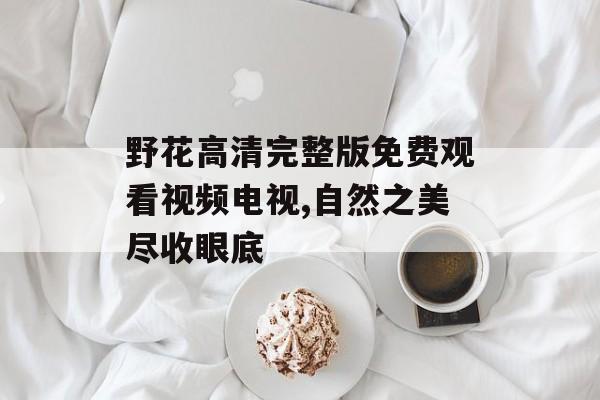 野花高清完整版免费观看视频电视,自然之美尽收眼底-第1张图片-佛山资讯网 野花高清完整版免费观看视频电视,自然之美尽收眼底-第1张图片-佛山资讯网
